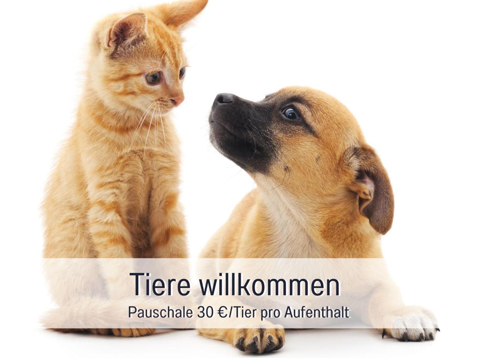 Rosmarin - Kuschelige Fewo - Romantik & Entspannung Im Whirlpool Auf Privater Terrasse, Ruhe & Hund Willkommen - By Ferienwohnenamsee - Uberlingen Ngoại thất bức ảnh